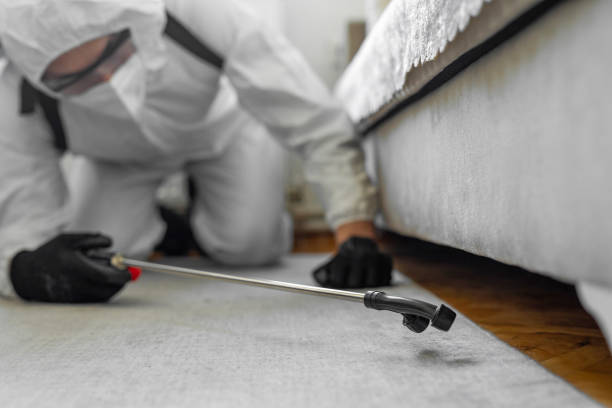 Professional Mosquito Control technician working in Crane, MO