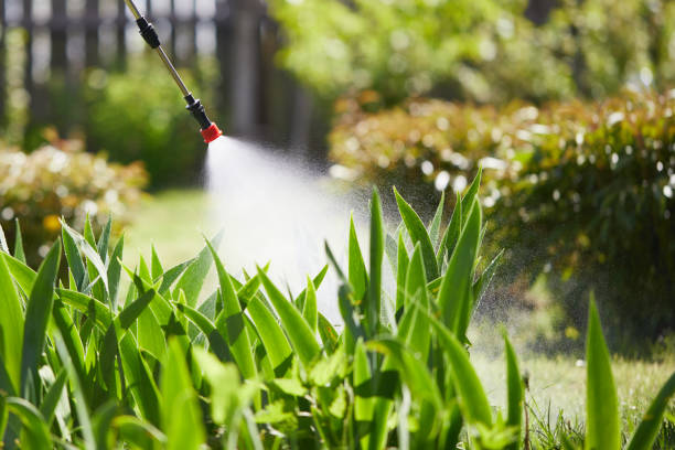 24/7 Emergency Mosquito Control experts in Crane, MO